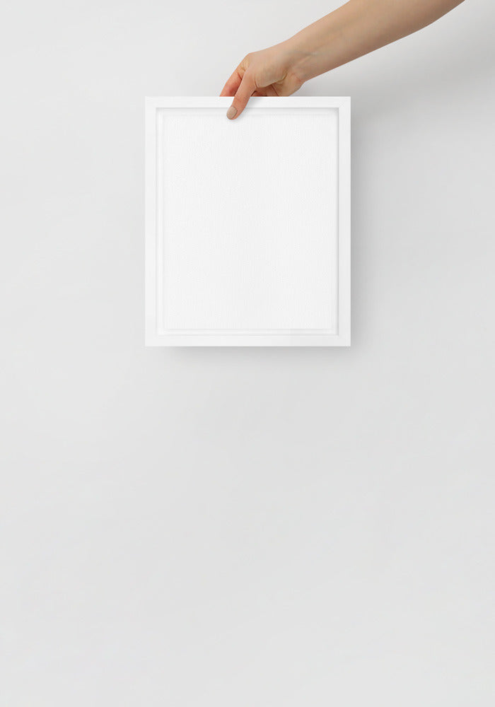 White 8″×10″